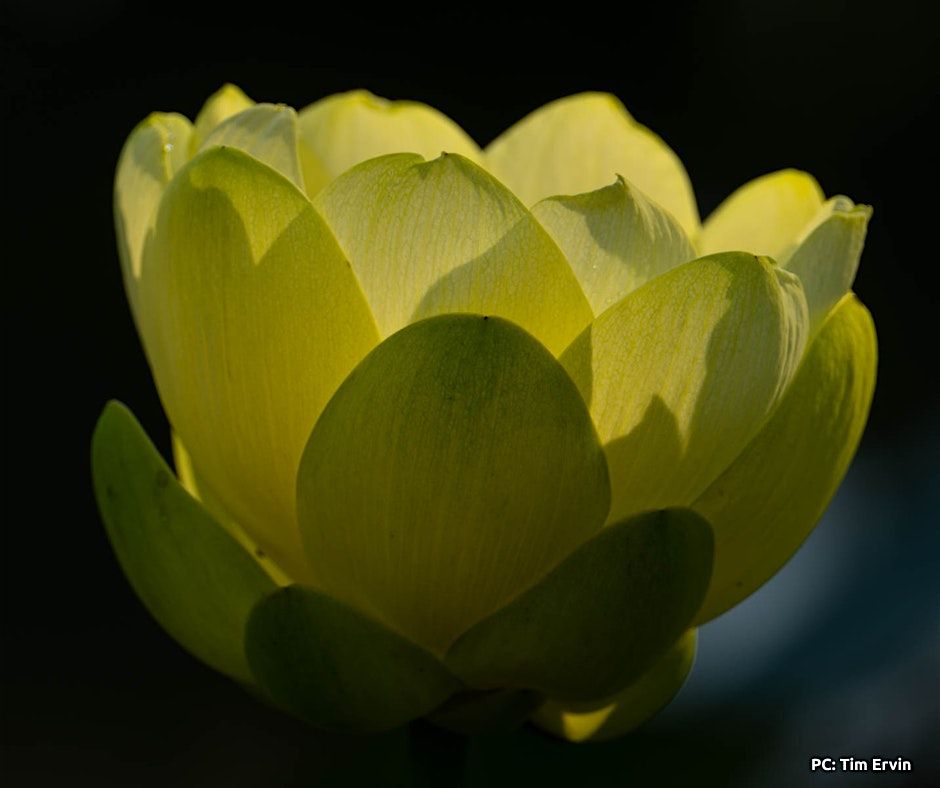 Sabda Mauna - Resonance and Sound Bath with Brian and Christine 8\/15 at 10a