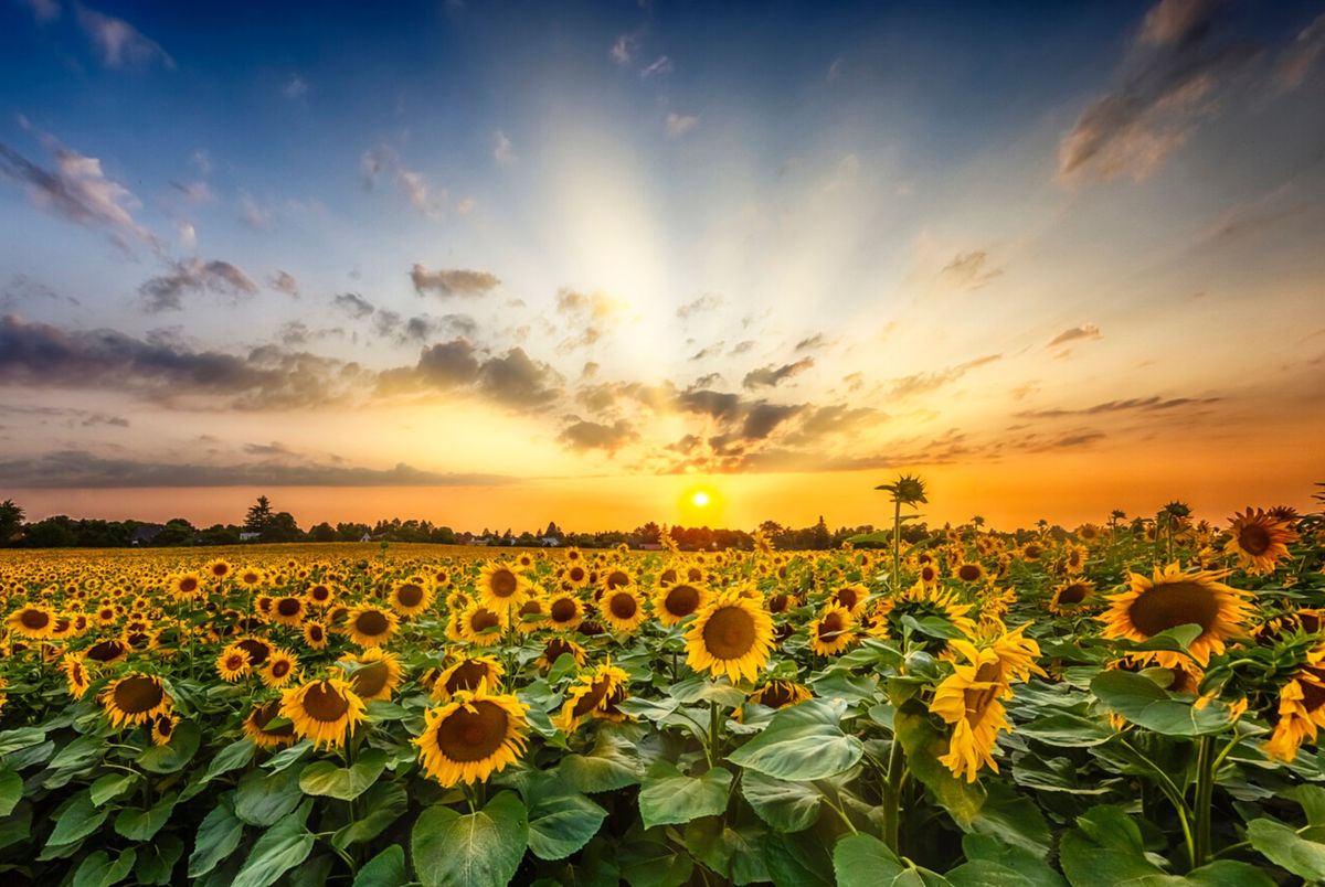 Public read-through of 'Calendar Girls'