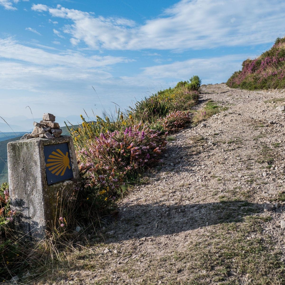 Camino de Santiago