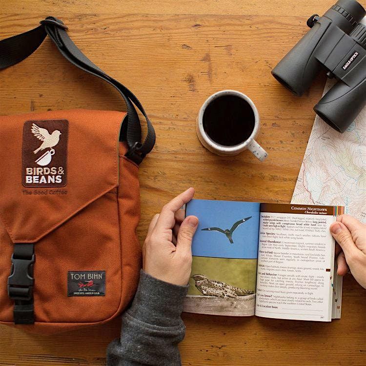Birds and Brew!