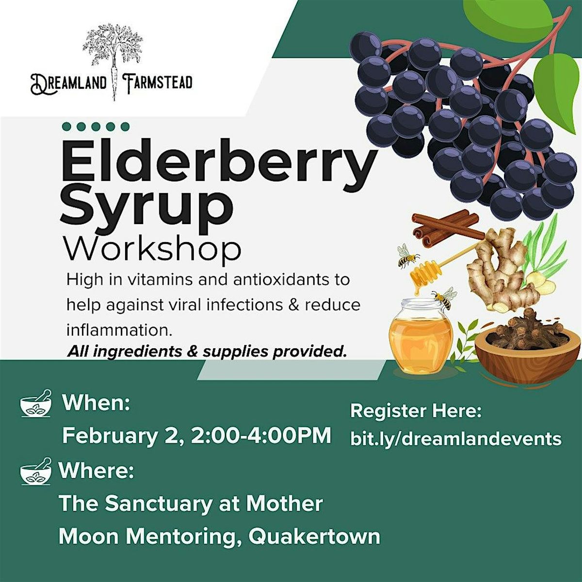 Herbal Recipes Winter Series: Elderberry Syrup