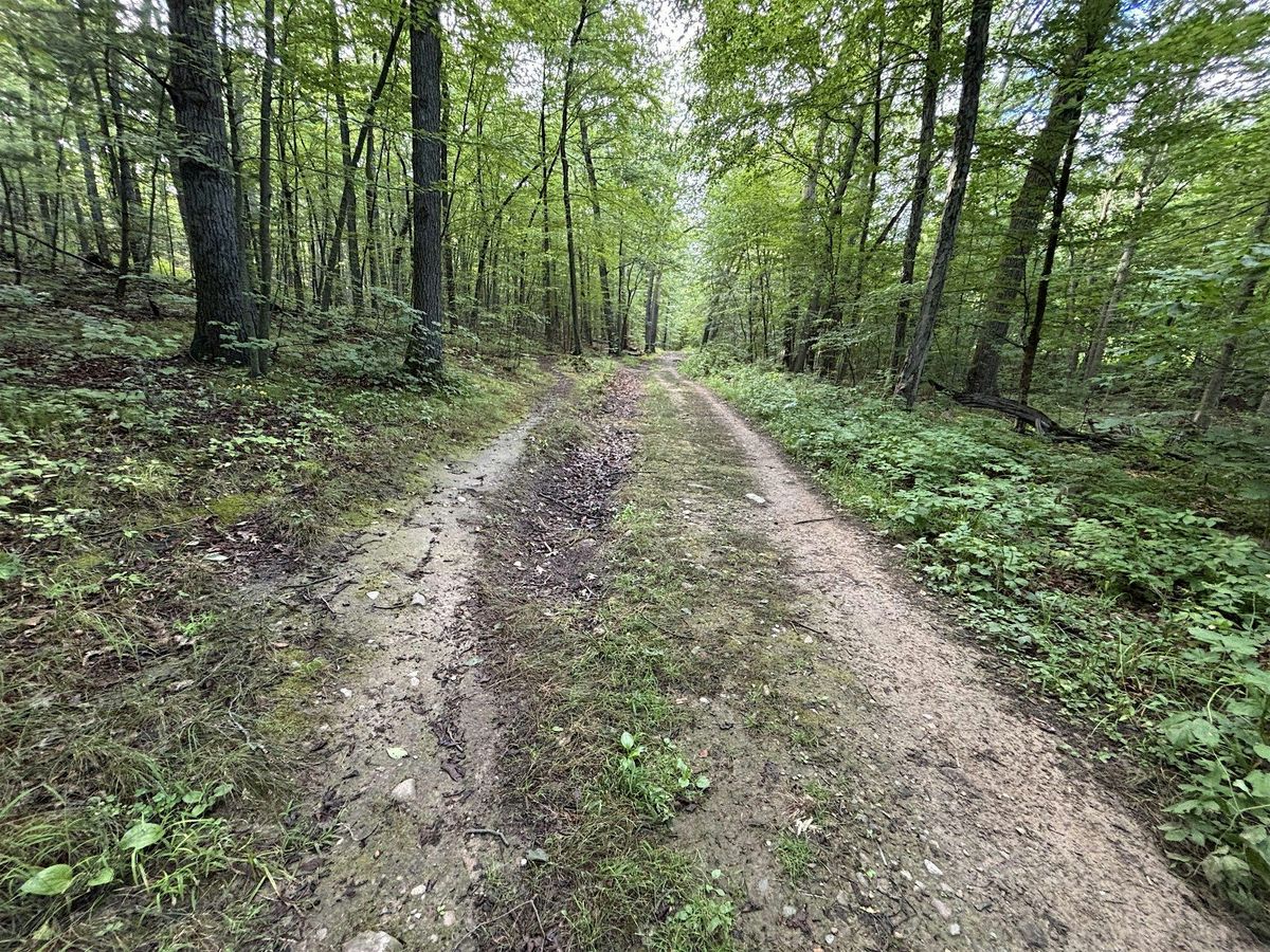 Winnekenni  Park - new trails + trail improvements! Part 2, Sunday 11\/9\/25