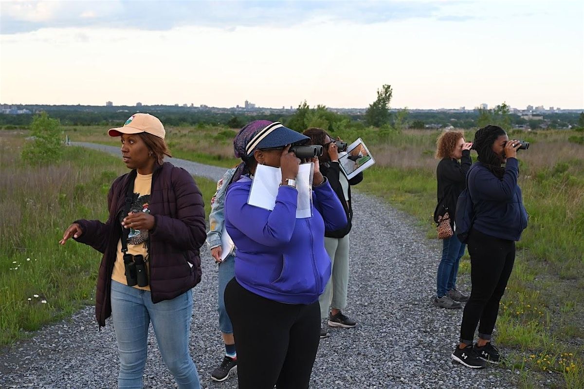 Sunset Migratory Bird Walk