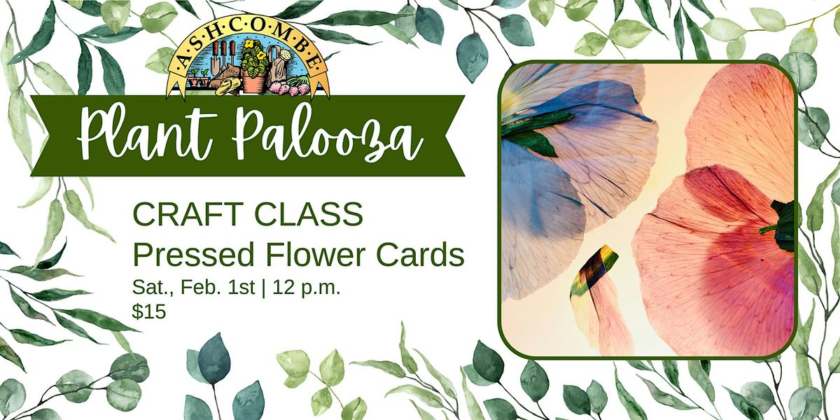 Pressed Flower Cards