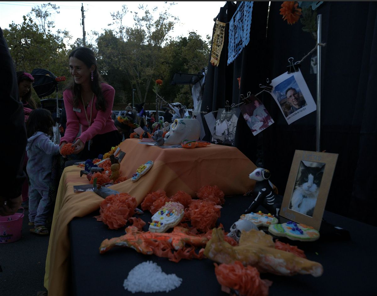 Trunk or Treat & Fall Festival