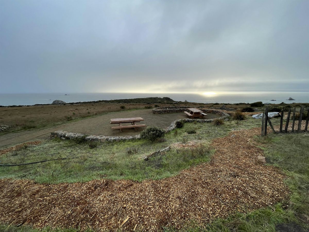 Jan 1st Volunteer Planting Day