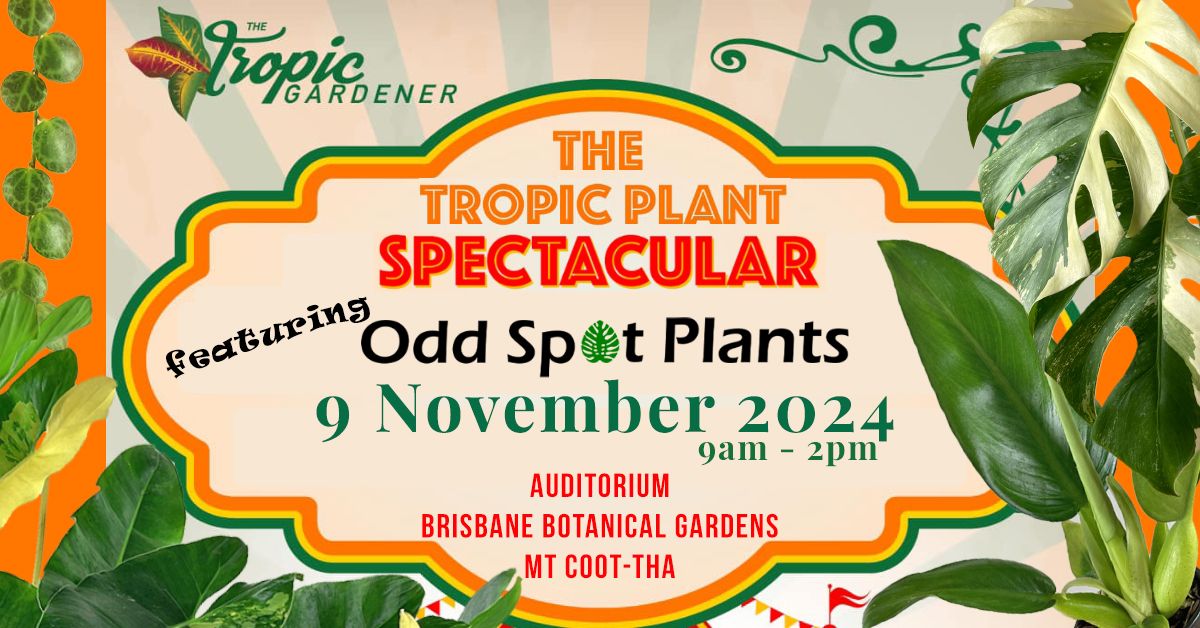 Odd Spot Plants @ The Tropic Plant Spectacular - 9 Nov 2024