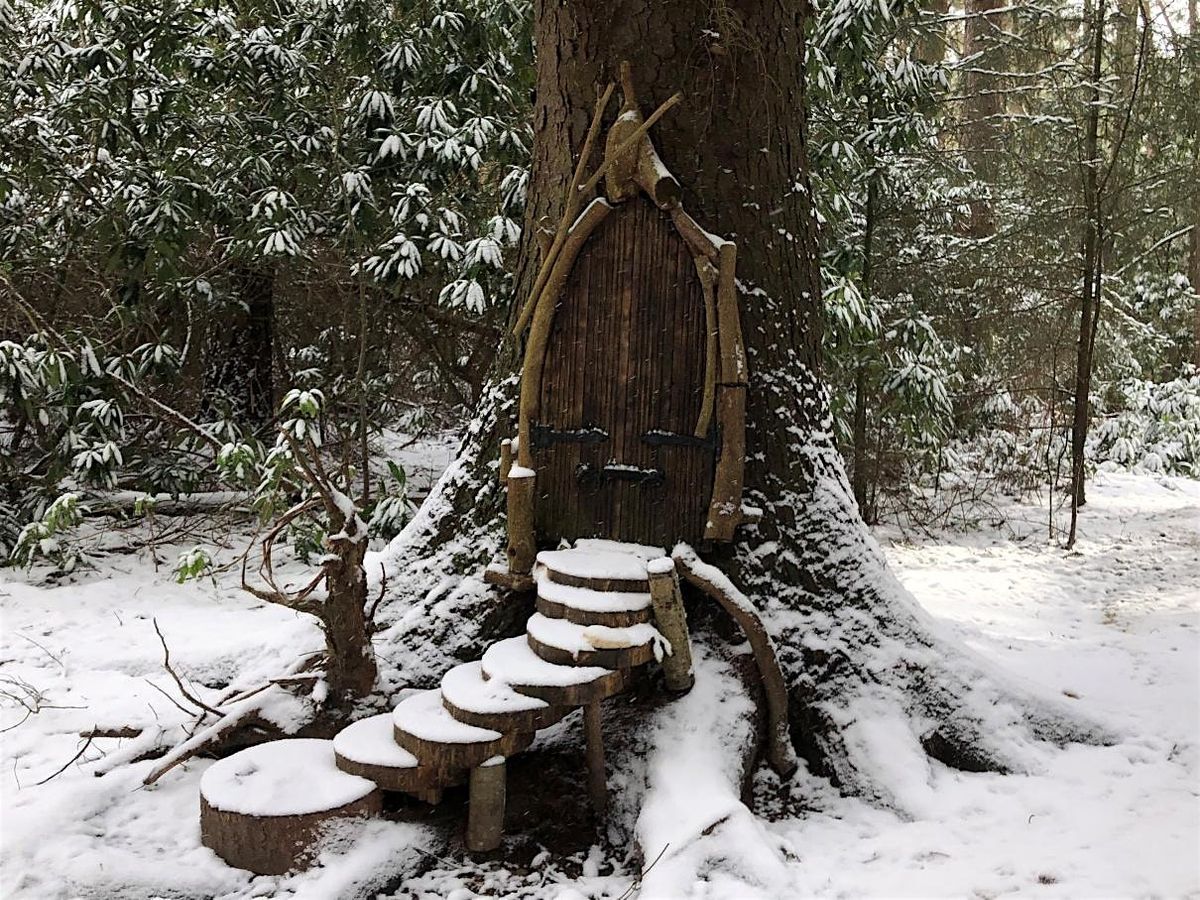 Forage yourself happy forest bath