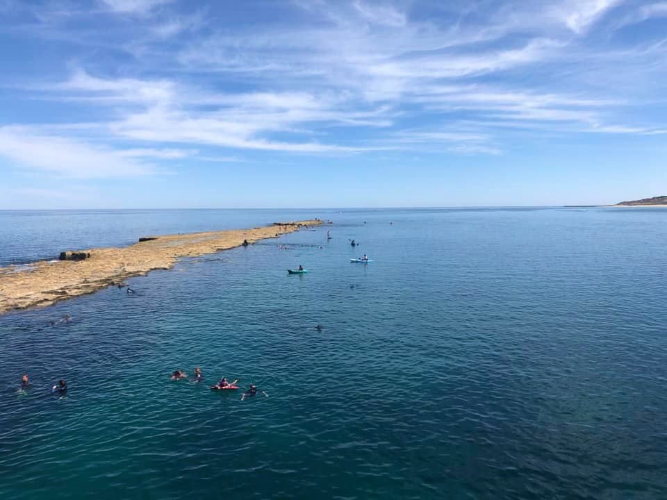 Snorkel Port Noarlunga Sanctuary  - 2nd March