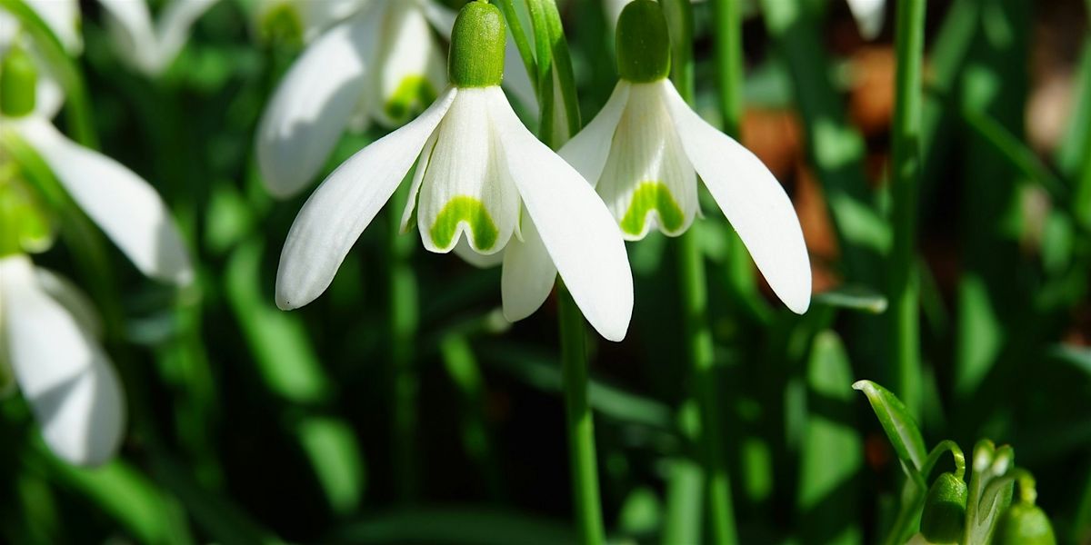 Bereavement Drop-In December 2025