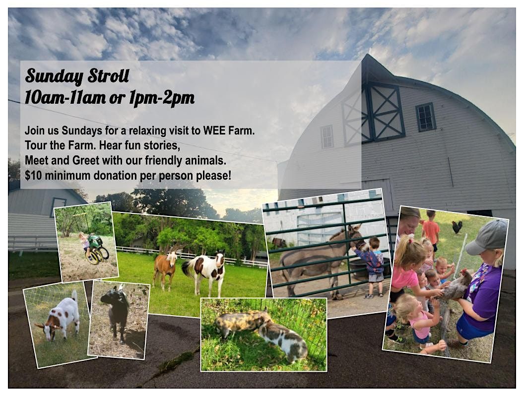 Sunday Stroll: Meet The Animals + Farm History