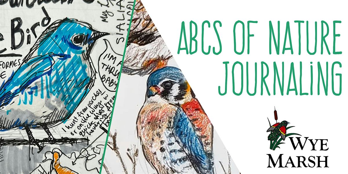 ABCs of Nature Journaling