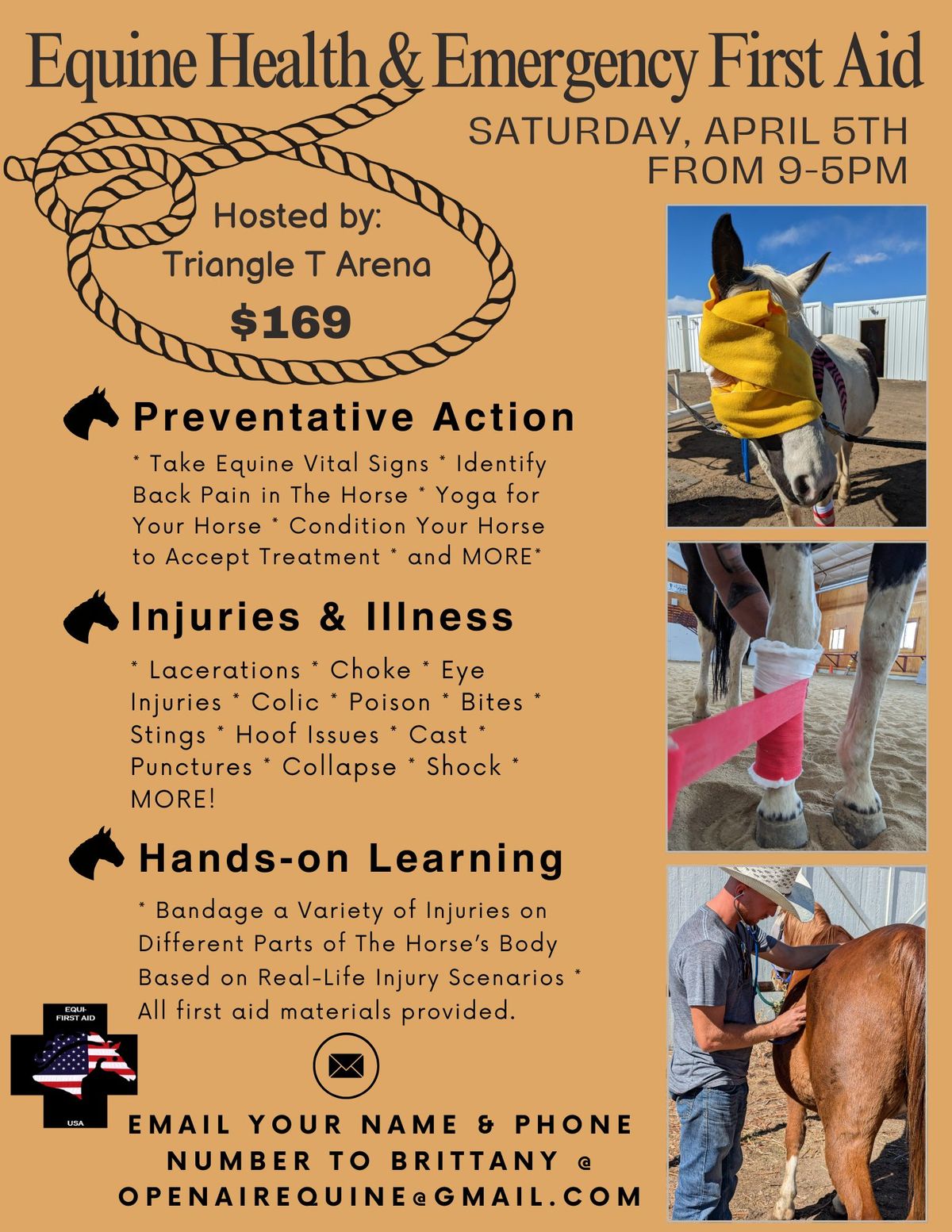 Equine Health and Emergency First Aid with Open Air Equine