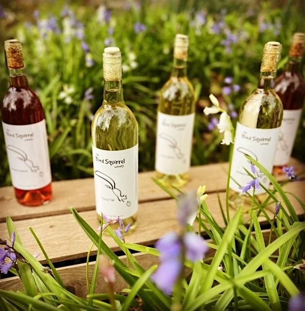 Talk, Tour, Taste- A Blind Squirrel Wine Experience