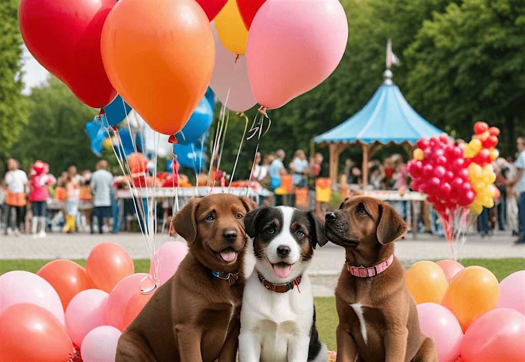 Dog Kissing Booth: Kisses and Fun at Tempelhof!