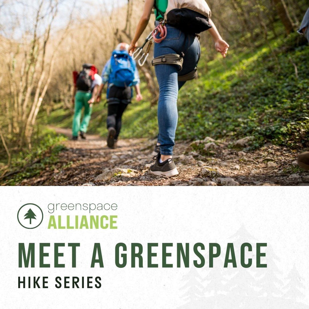 Meet a Greenspace: Buttercup Valley Preserve Hike