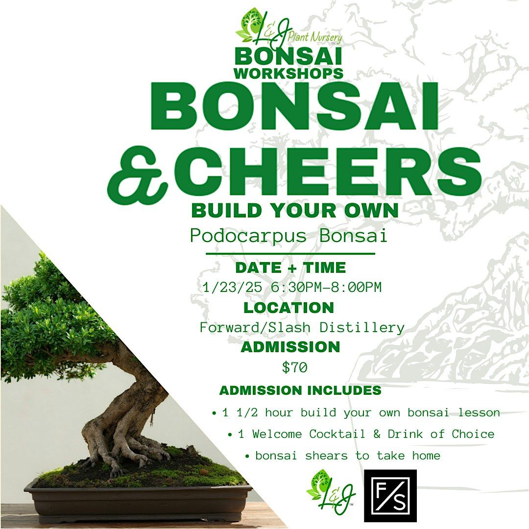 Bonsai & Cheers - Forward\/Slash Distillery - L&J Nursery - Podocarpus