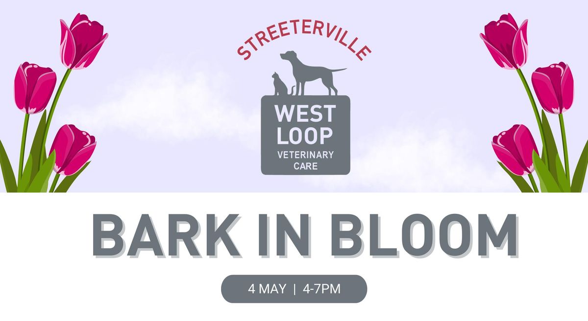 WLVC - Streeterville Bark in Bloom Event