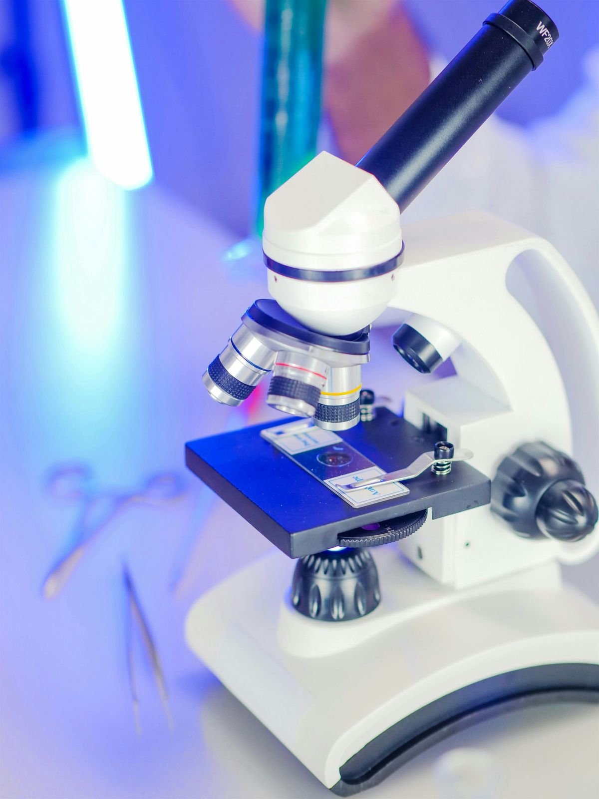 Dawg Tech: Cell Factories for New Antibiotics