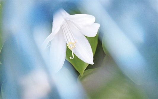Wie kann ich mit meiner Trauer umgehen?