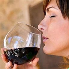 3238 WINE TASTING CLASS-BECOME A WINE CONNOISSEUR: