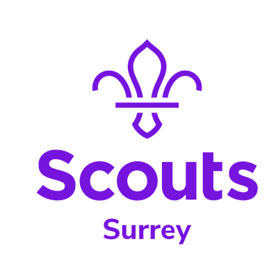 Surrey Scouts