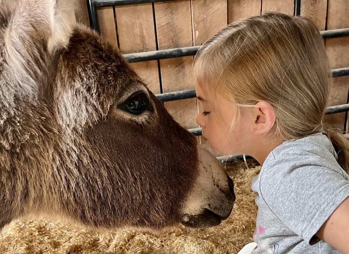 Private Donkey Encounter