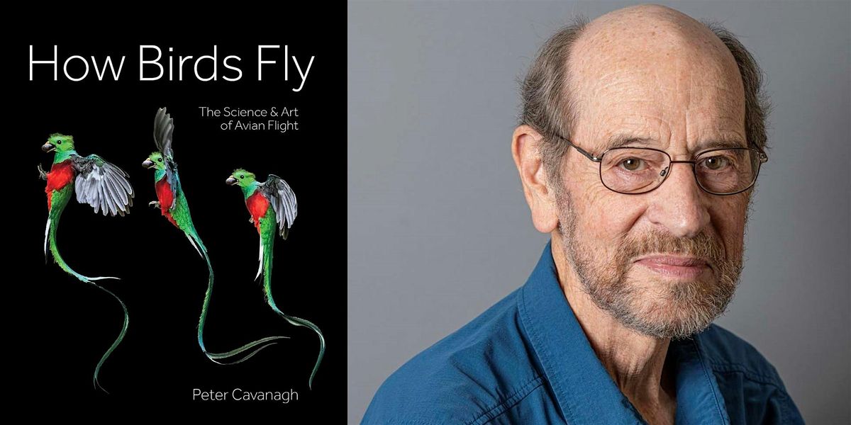 Peter Cavanagh- How Birds Fly: The Art and Science of Avian Flight