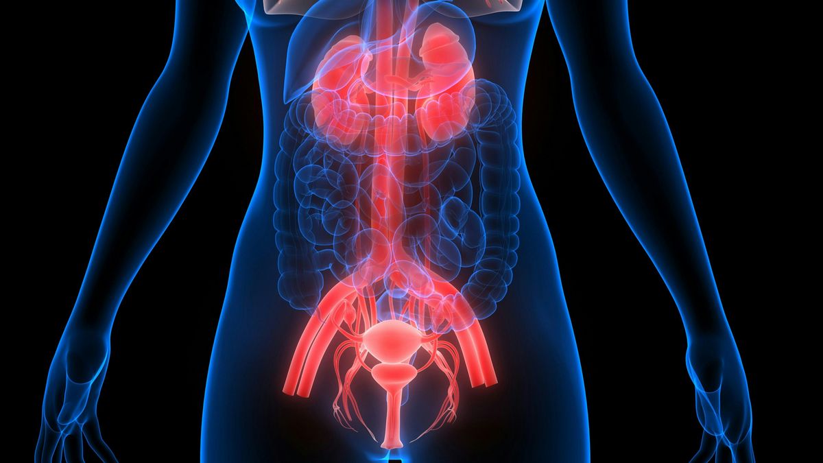 Bladder Oncology Study Day