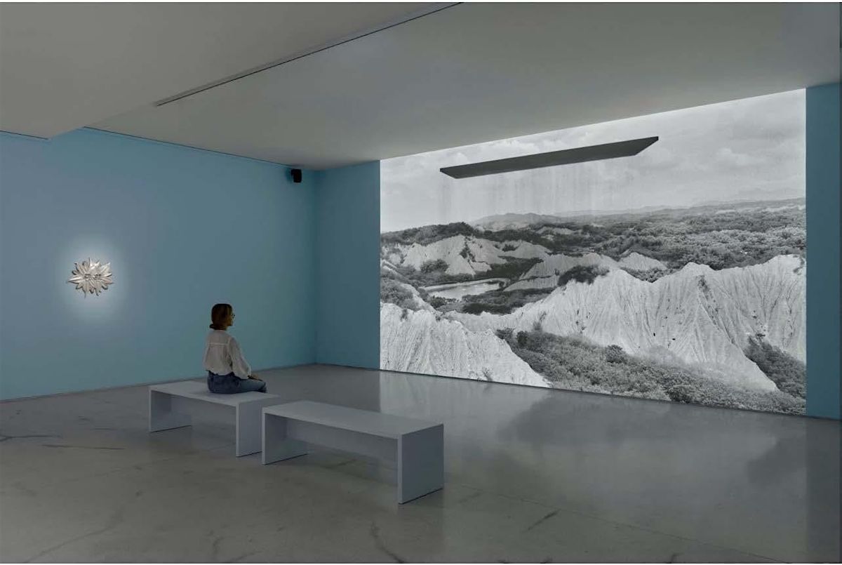 Art Gallery Visit  -Perrotin  London Gallery Contemporary Art Private tour