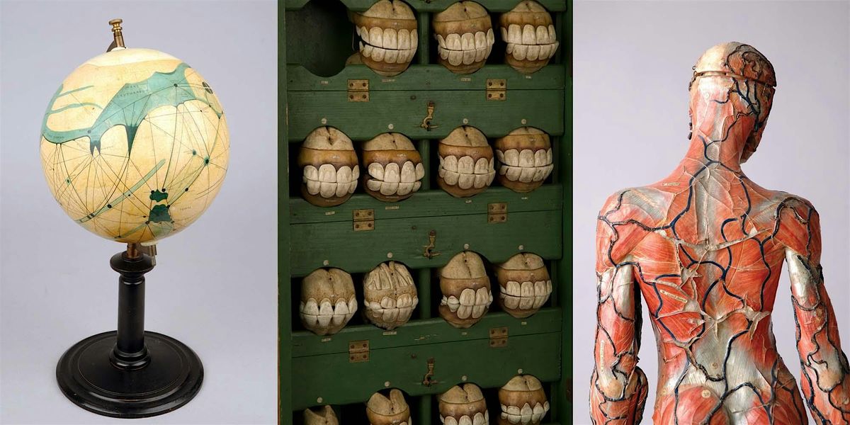 Whipple Highlights Tour