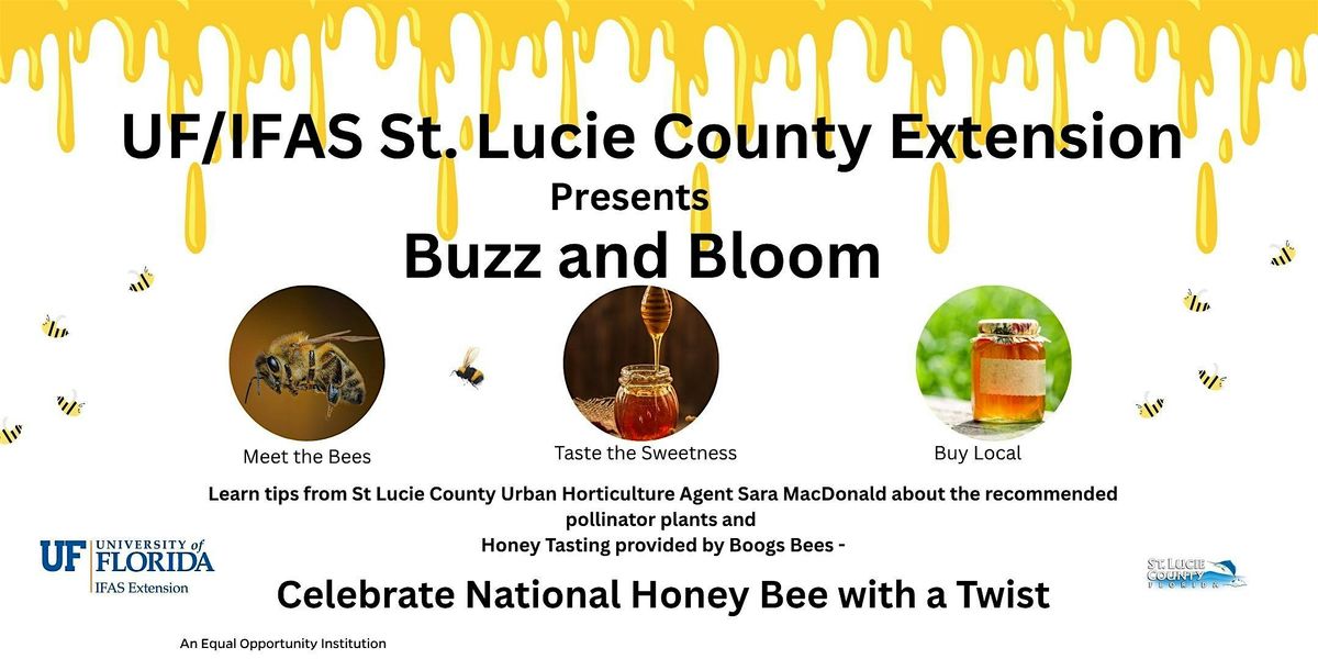 Buzz and Bloom