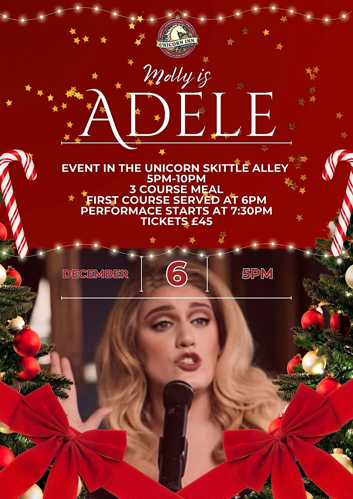 ADELE Tribute - At the Unicorn