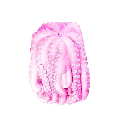 London Metropolitan University BA PHOTOGRAPHY