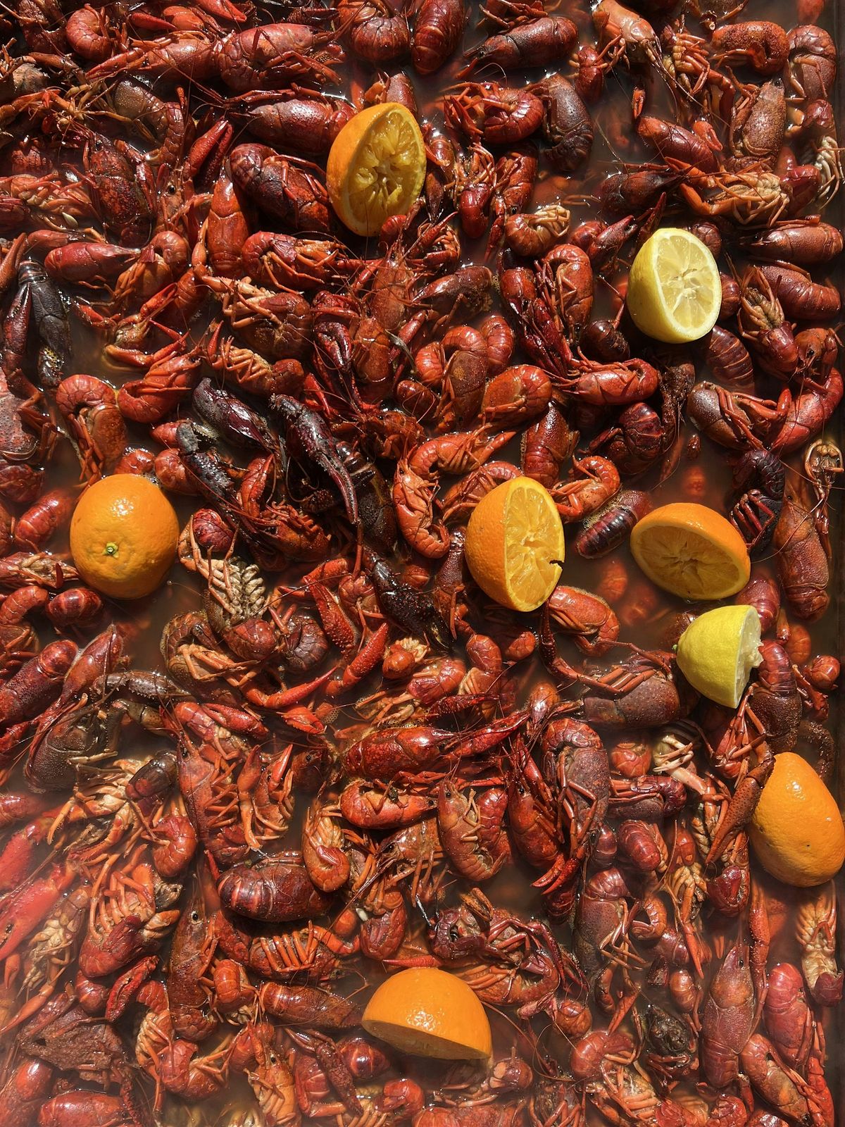 Stoney's Bar and Grill 15th Annual Crawfish Boil