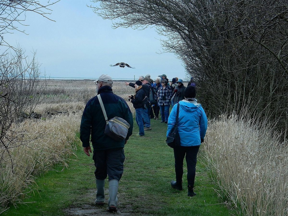 Bus Charter Guided Field Trip to Reifel Bird Sanctuary , Delta BC, Canada