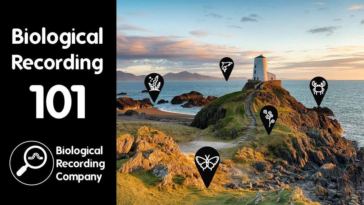 Biological Recording 101