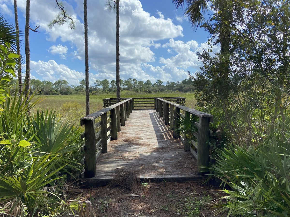 Members-Only: Painting in Nature