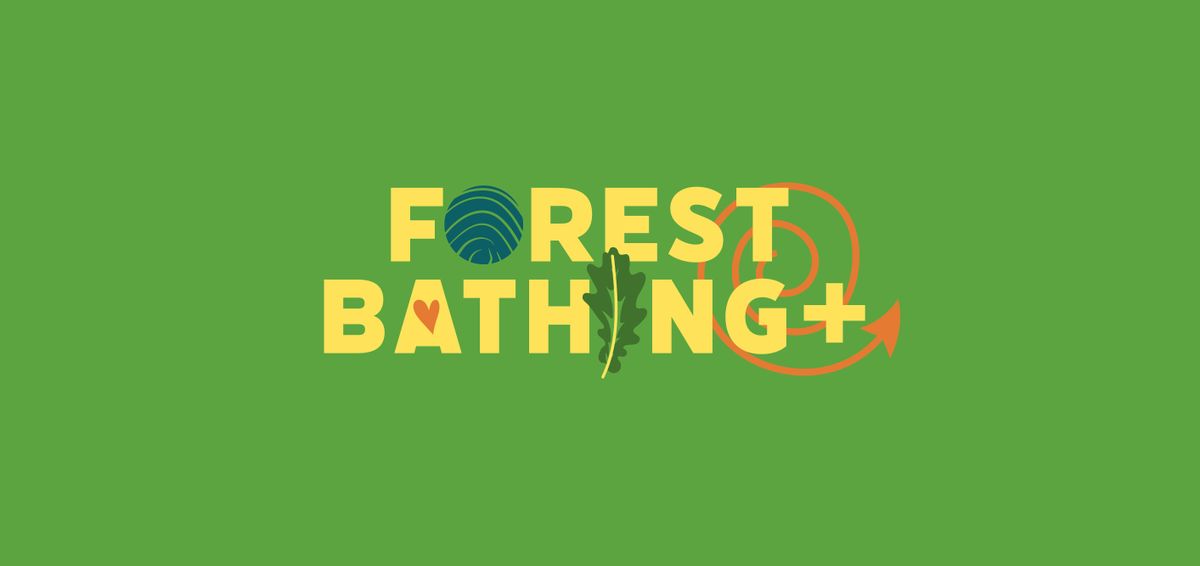 Forest Bathing + on Ashdown Forest, Goat Carpark