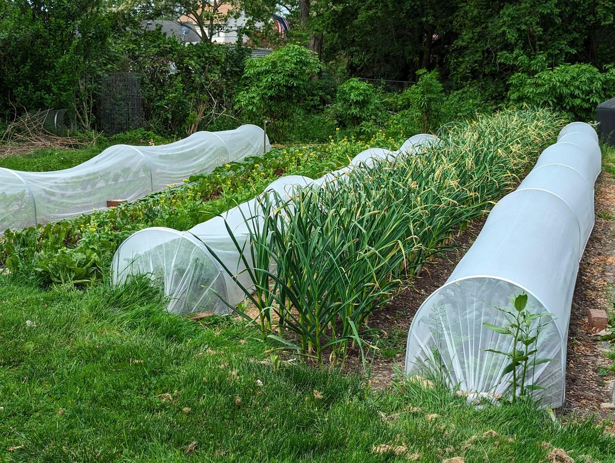 Farm Tour: Grow More, Harvest Longer! Utilizing Low Tunnels on the Farm
