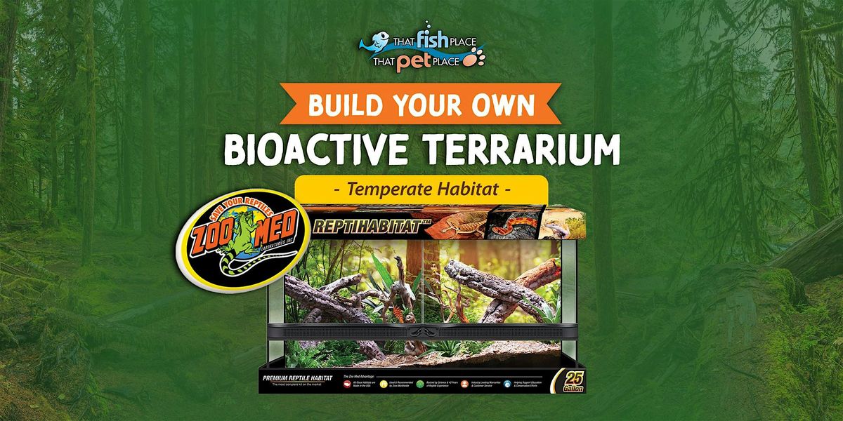 Build a Bio-active Terrarium: Temperate Environment