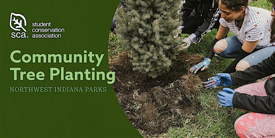 Volunteer Tree Planting