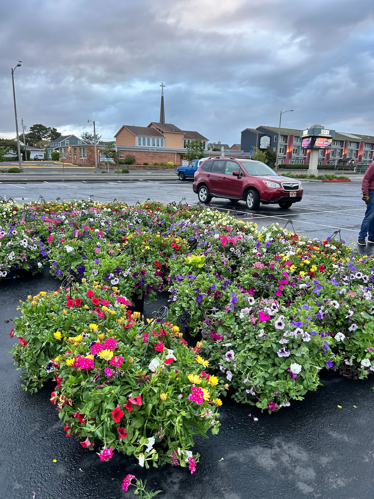 It's A Bloomin' Event--Community Flower Basket Fundraiser