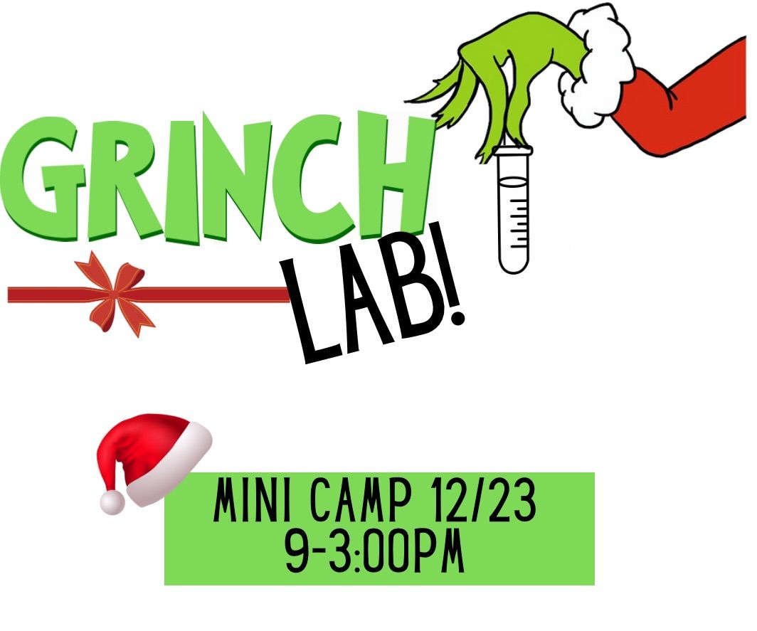 Grinch Lab Mini Camp