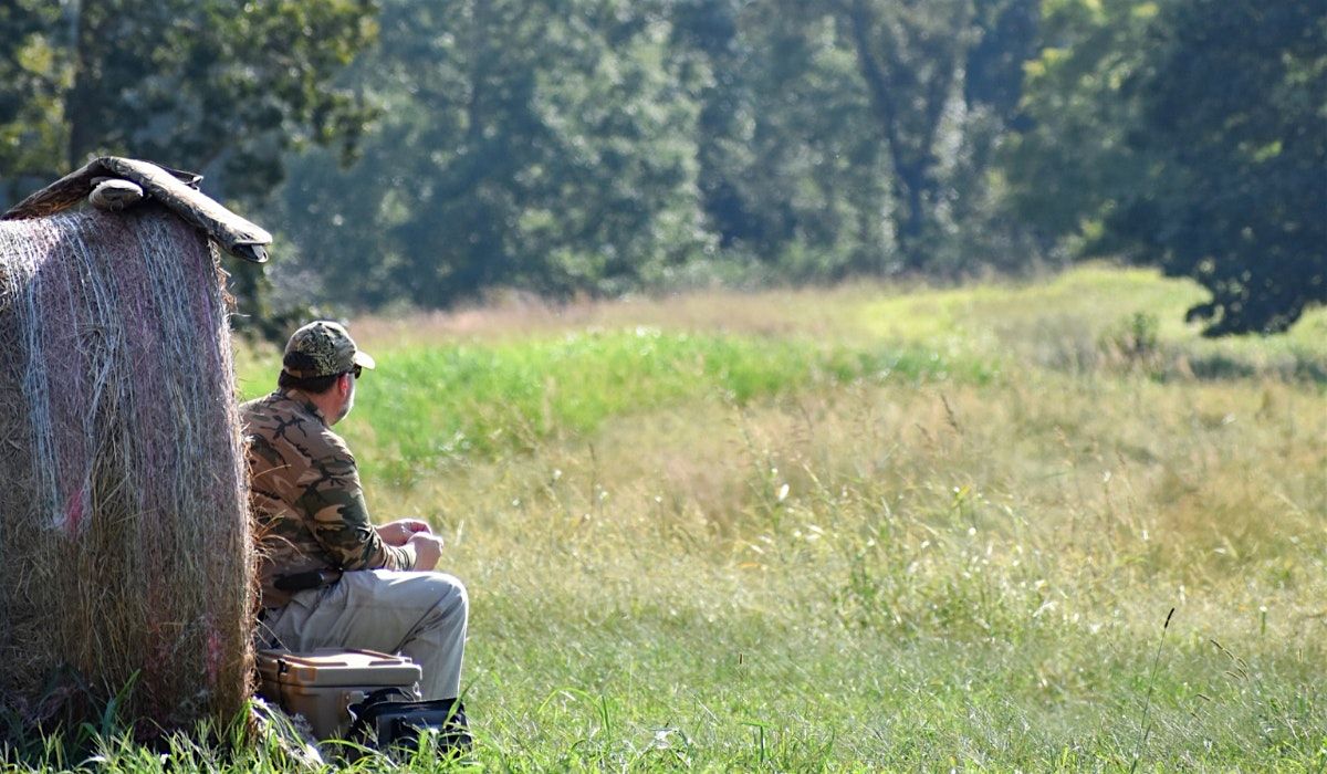 Opening Day Dove Hunt
