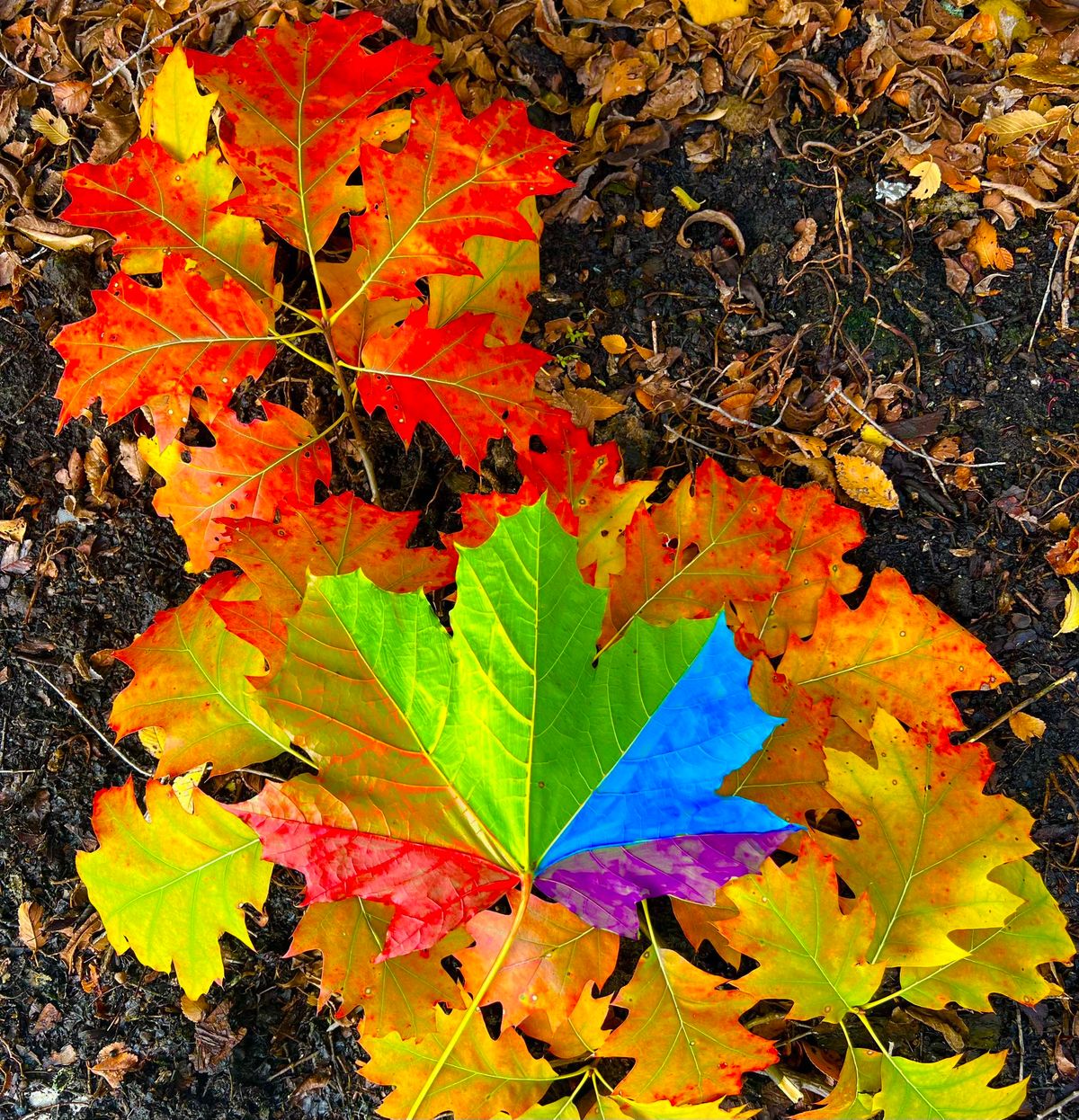 Rainbow Remembrance Ceremony