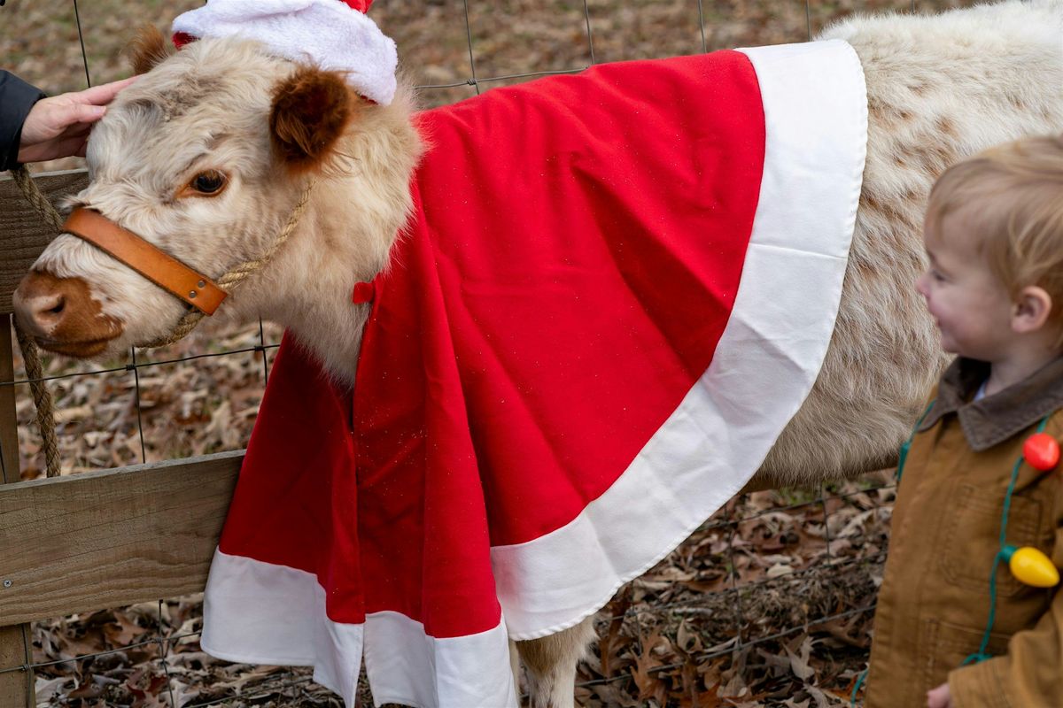 3rd Annual Christmas on the Farm!