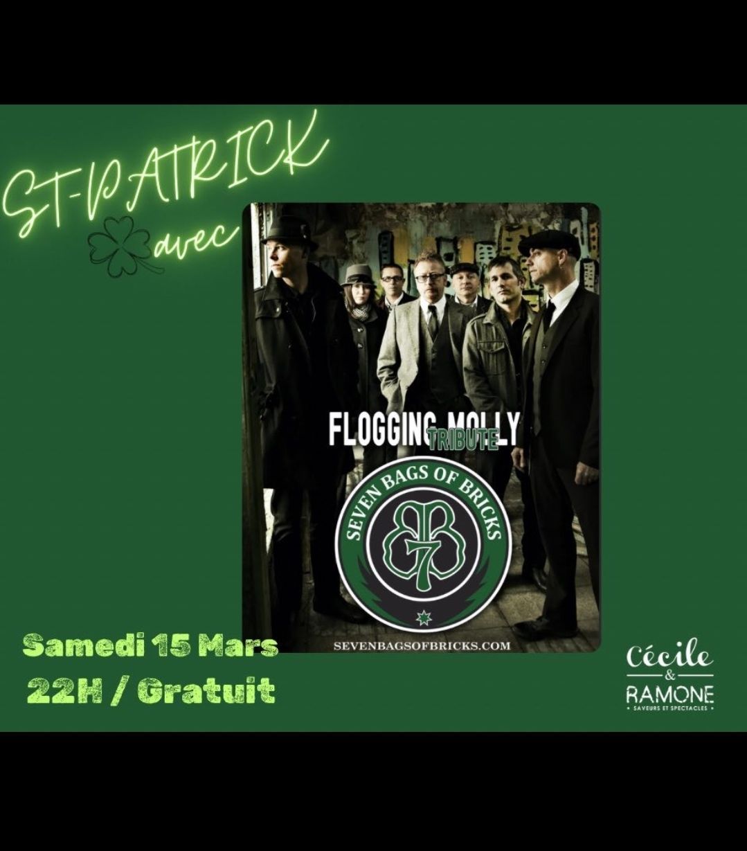 ST-PATRICK\u2618\ufe0f HOMMAGE - FLOGGING MOLLY par SEVEN BAGS OF BRICKS