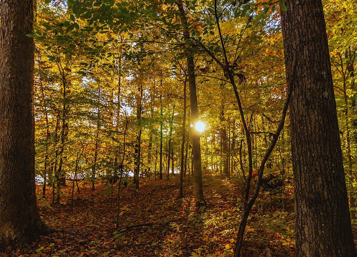Autumn Equinox Nature Celebration