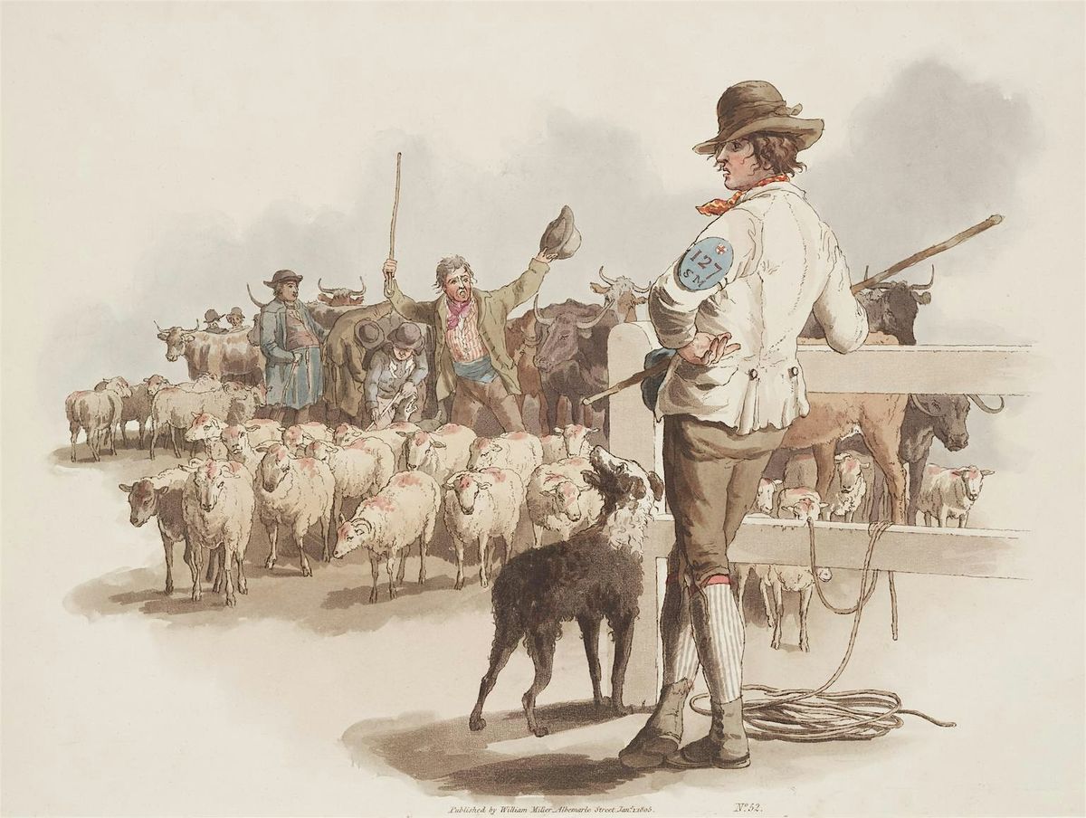 Heiptrw Hw! Following in the footsteps of the Welsh drovers